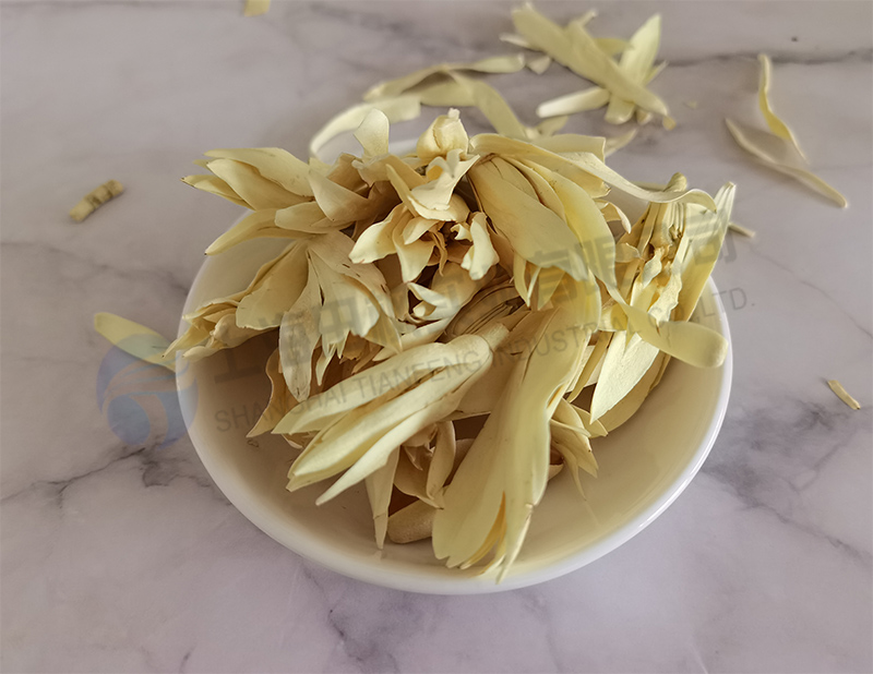 白玉蘭凍干，鮮花凍干機(jī)應(yīng)用于白玉蘭真空冷凍干燥