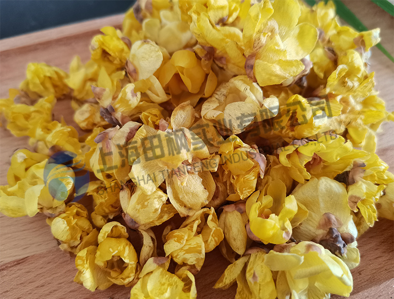 臘梅花凍干，鮮花冷凍干燥機(jī)