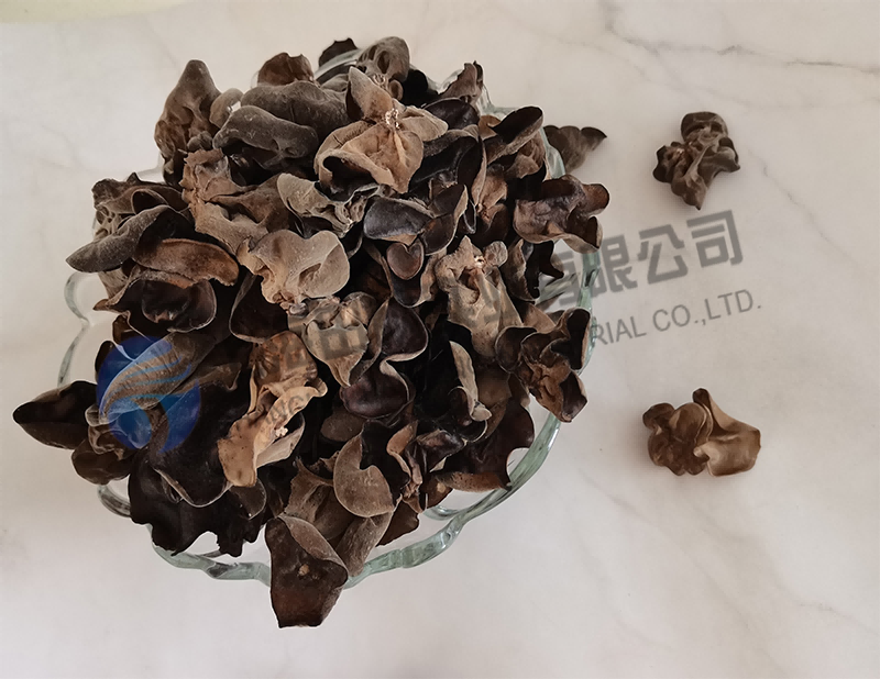 木耳凍干，食品真空冷凍干燥機(jī)木耳凍干方法