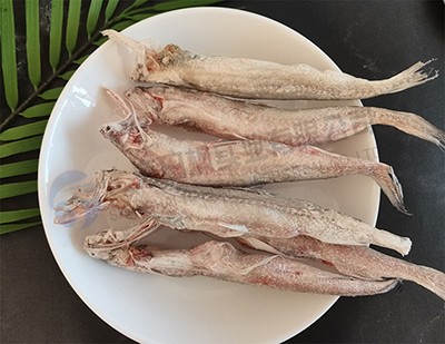 海鮮魚(yú)凍干：食品凍干技術(shù)應(yīng)用于龍頭魚(yú)冷凍干燥原理