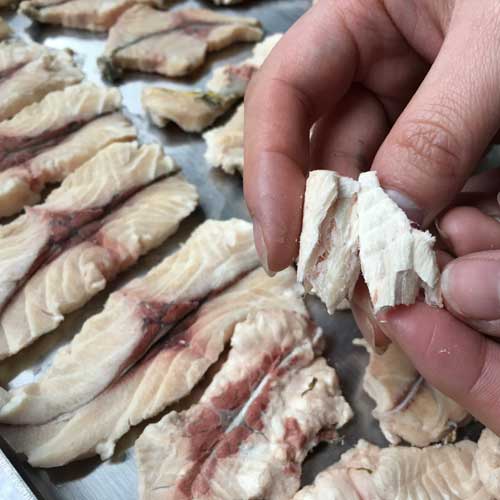 魚(yú)片凍干