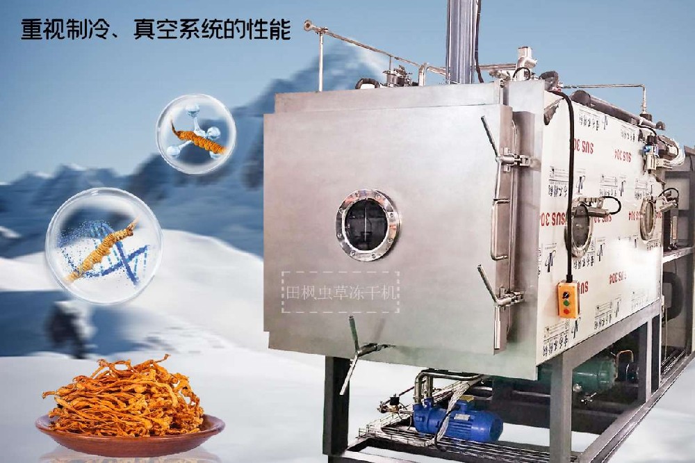 制藥凍干機的凍干技術(shù)：冬蟲夏草的新鮮與活力