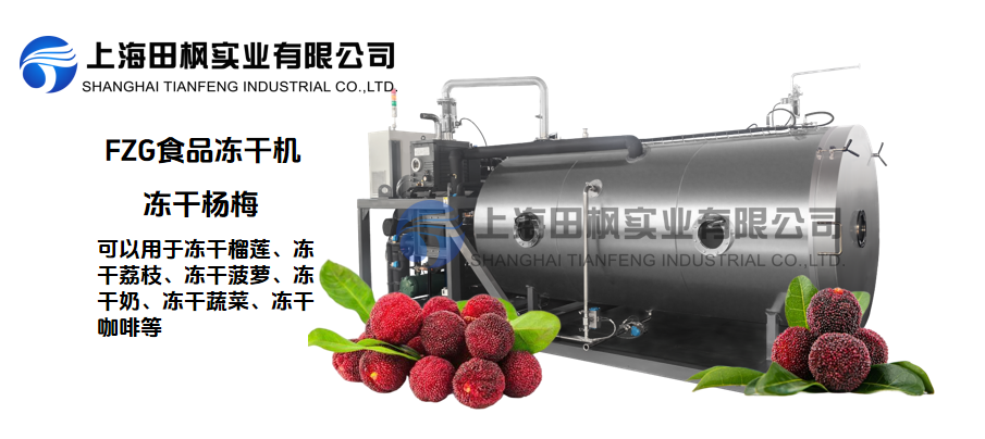 夏季冰鮮，楊梅凍干新保存方式
